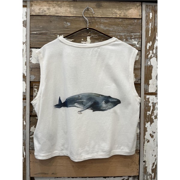 BALLENA BARBUDA