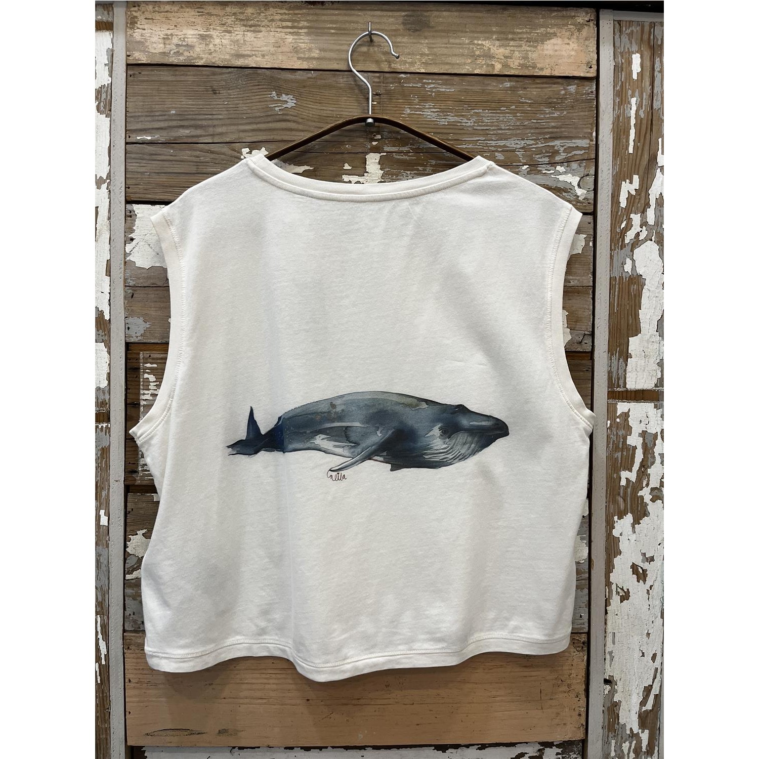 BALLENA BARBUDA