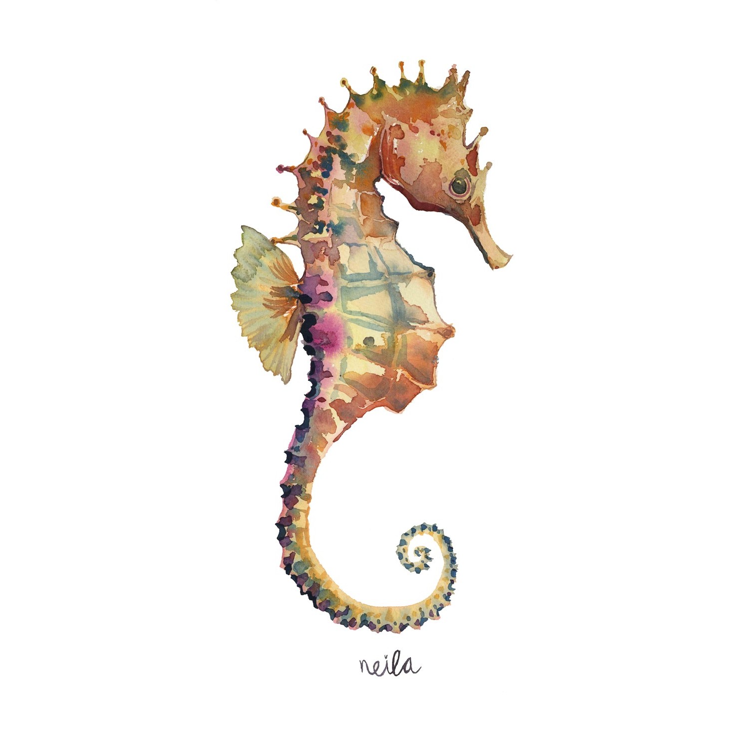 CABALLITO DE MAR