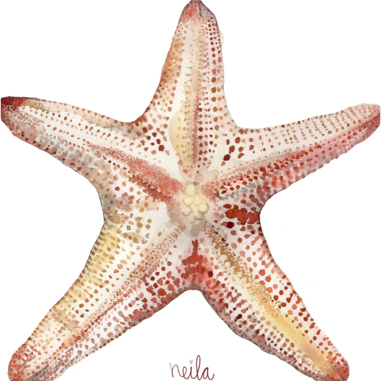 ESTRELLA DE MAR