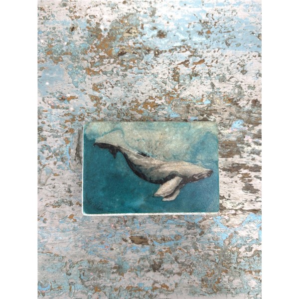 BALLENA 1