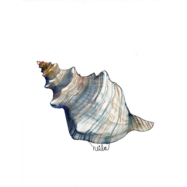 BURGAILLO