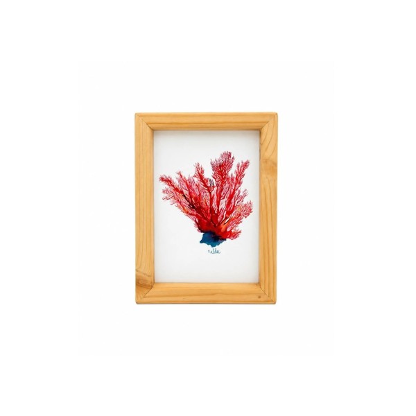 CORAL 2