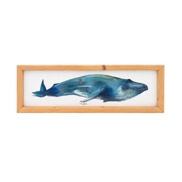BALLENA BARBUDA 2