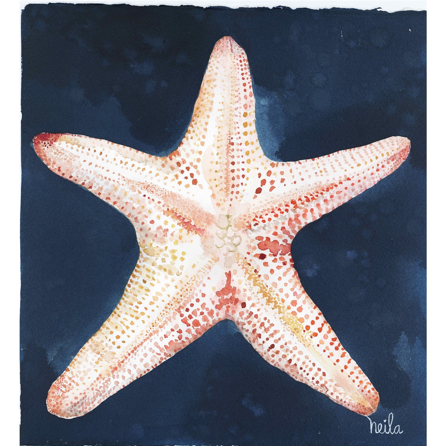 ESTRELLA DE MAR
