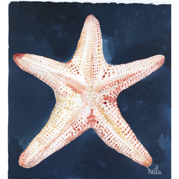 ESTRELLA DE MAR