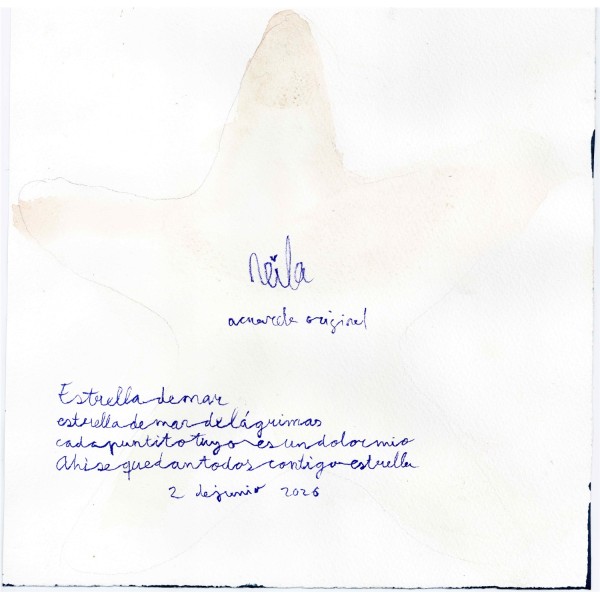 ESTRELLA DE MAR 2