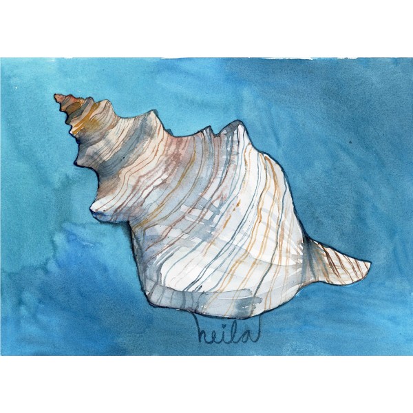 BURGAILLO