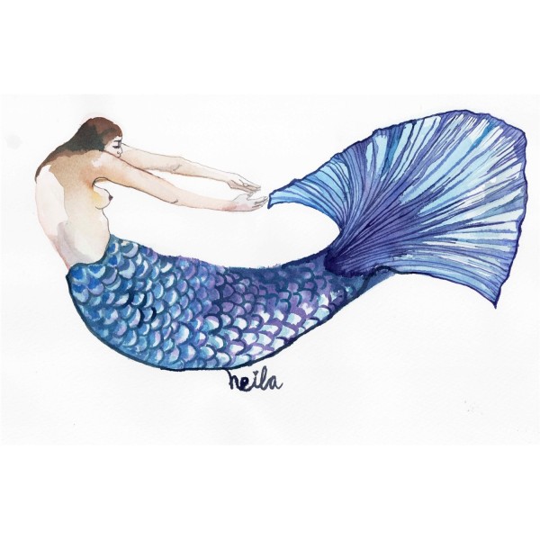 SIRENA VIOLETA