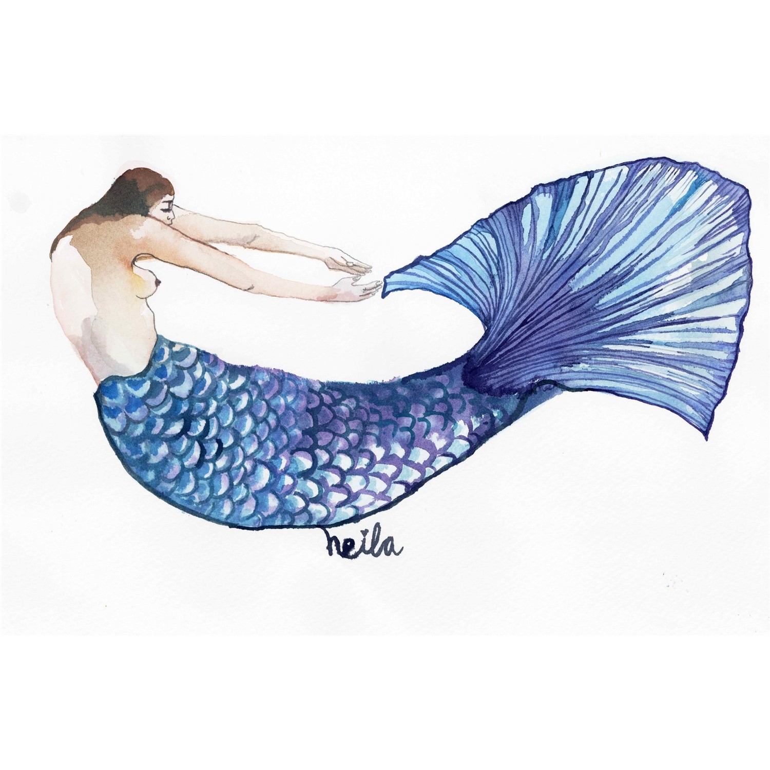 SIRENA VIOLETA