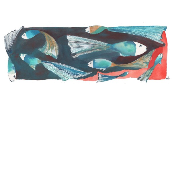 BANCO PECES ROJO Y AZUL