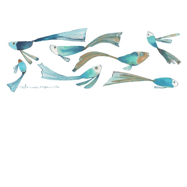 NADAR SIN  AGUA ES VOLAR