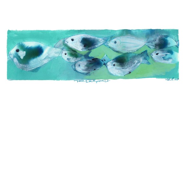 PECES EN EL PARAISO